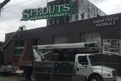 Sprouts 2