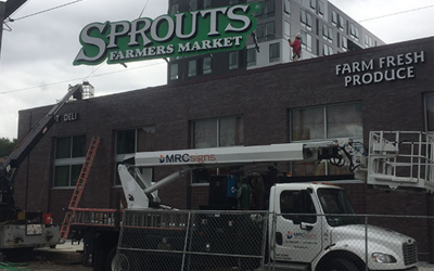 Sprouts 2